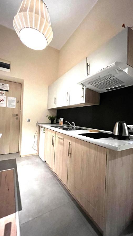 Single In Center Apartment Krakow